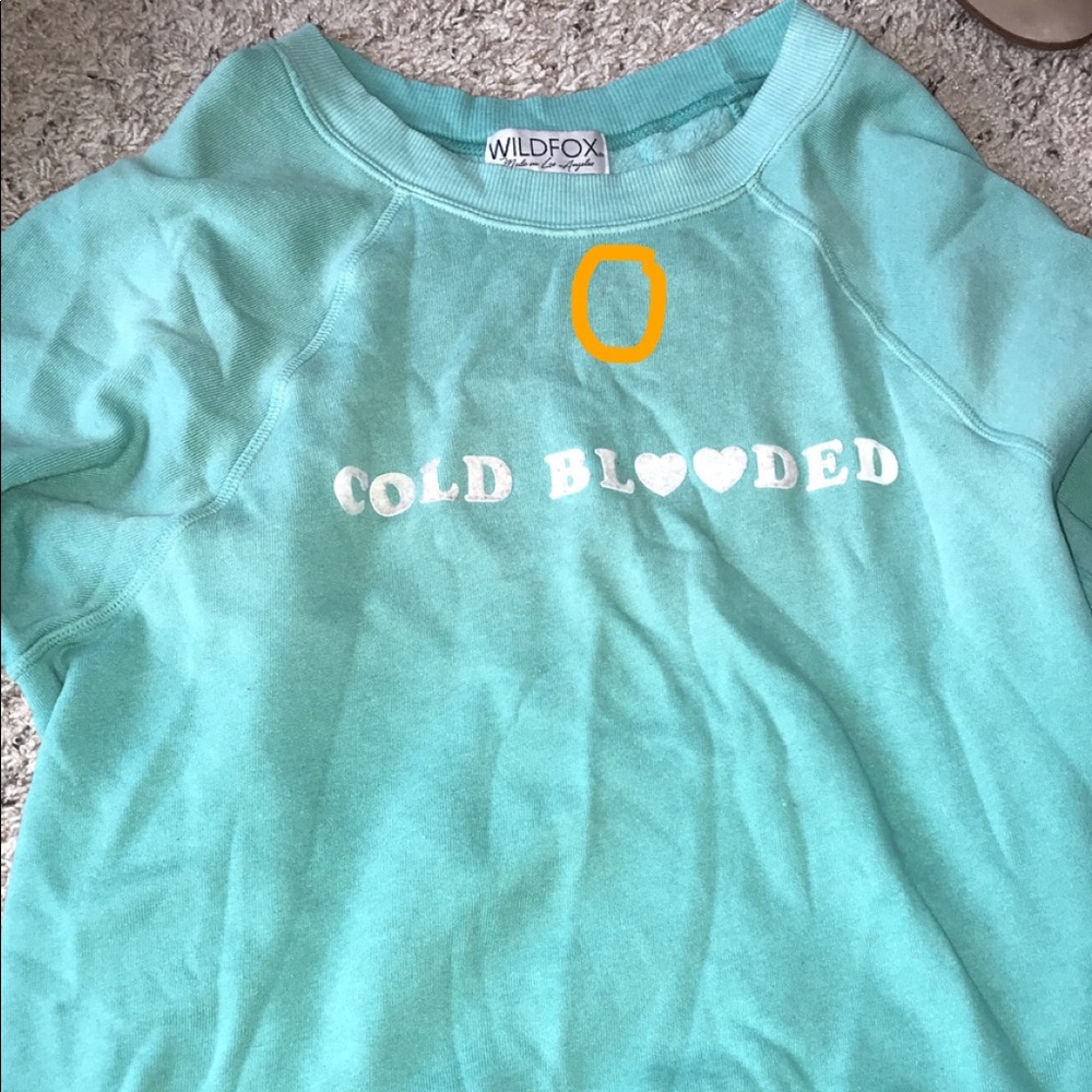 Wildfox Pullover - image 1